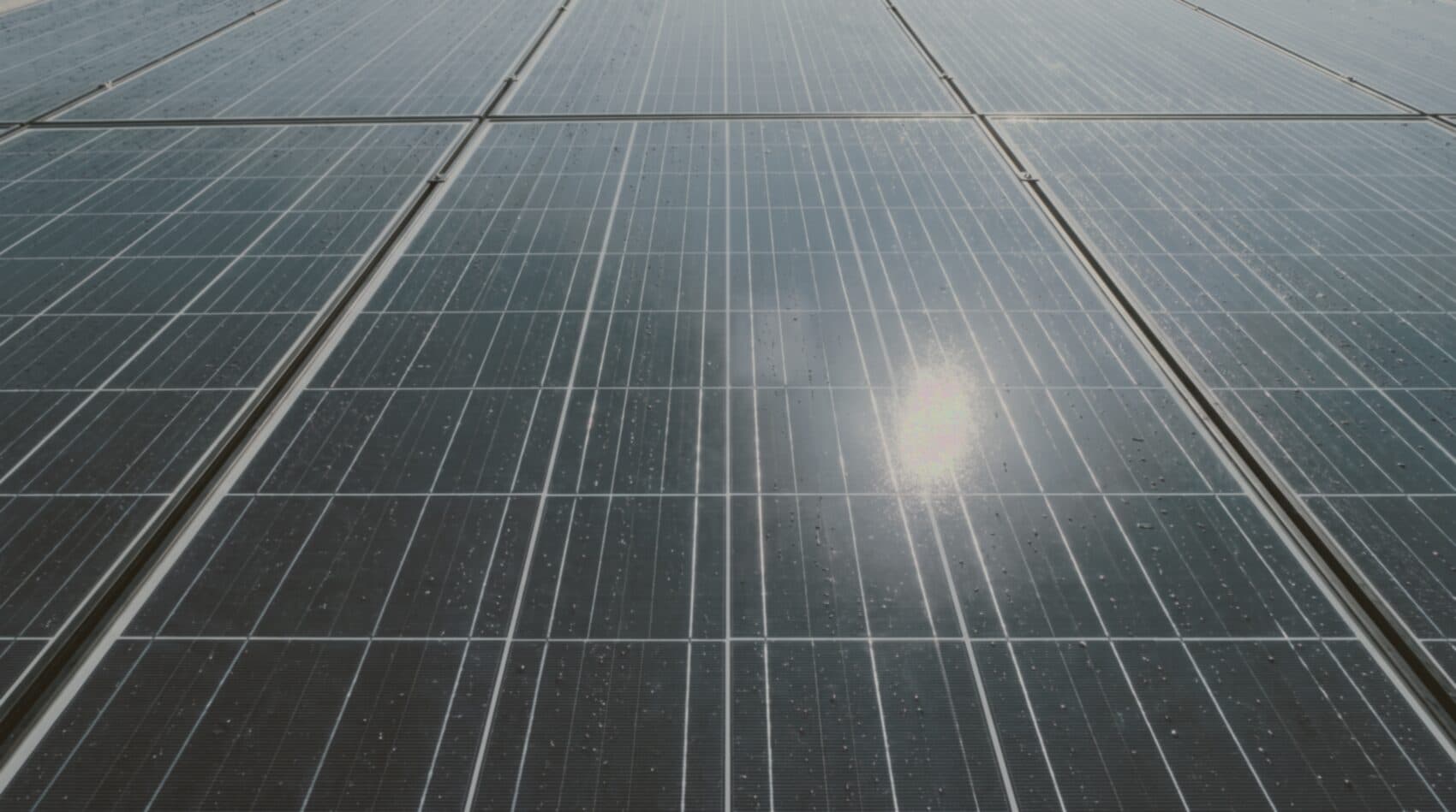 Solarpanel vor der Reinigung — matt, staubig, verschmutzt
